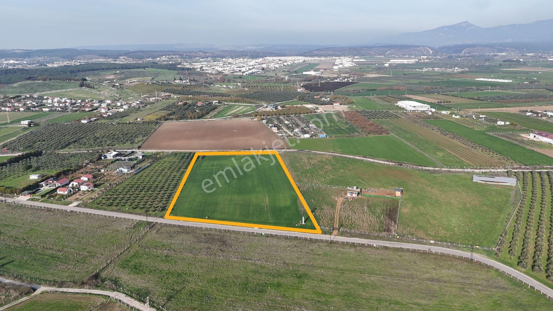 Oğlananası Menderes Arasında 16 Dönüm Tek Tapu Elektrik Su Depo İnşaat İzmir - Görsel 4