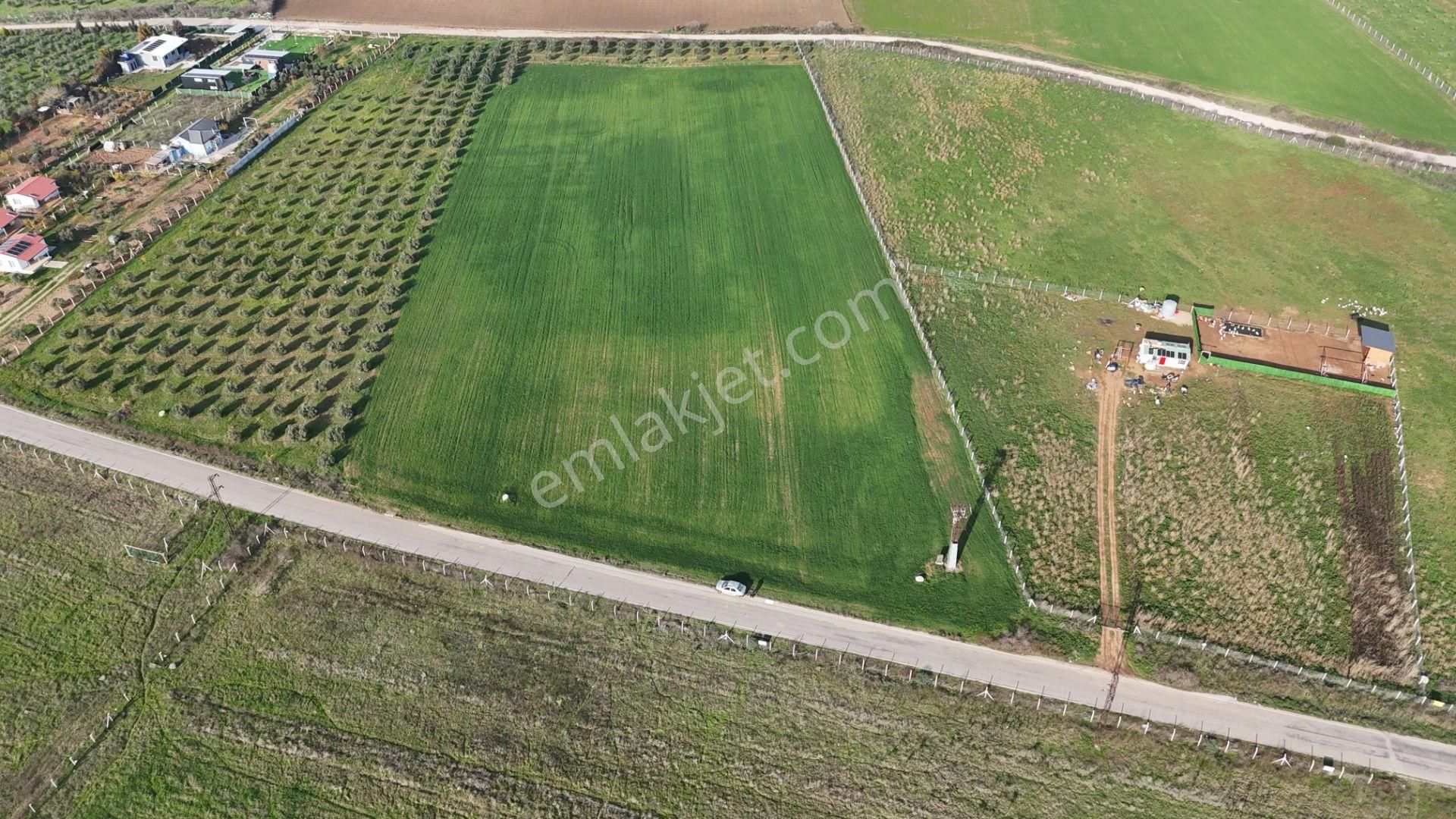 Oğlananası Menderes Arasında 16 Dönüm Tek Tapu Elektrik Su Depo İnşaat İzmir - Görsel 26