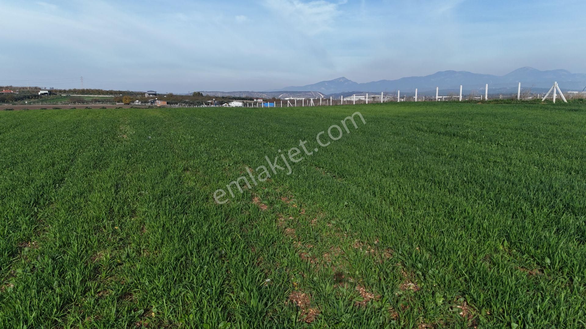 Oğlananası Menderes Arasında 16 Dönüm Tek Tapu Elektrik Su Depo İnşaat İzmir - Görsel 27