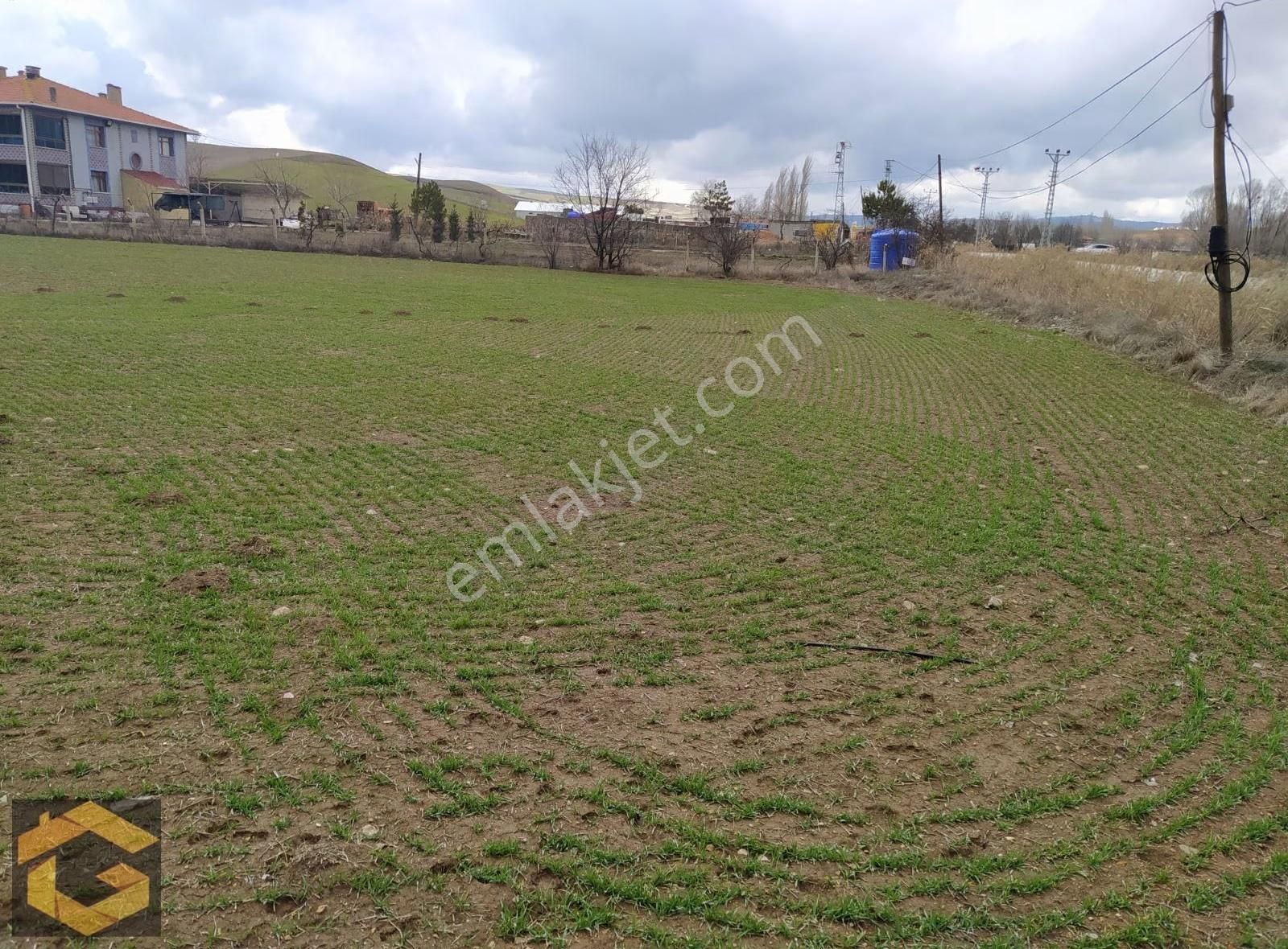 Çubuk Kızılca Mah. Yola Cephe 2984 M2 İmarlı Arsa