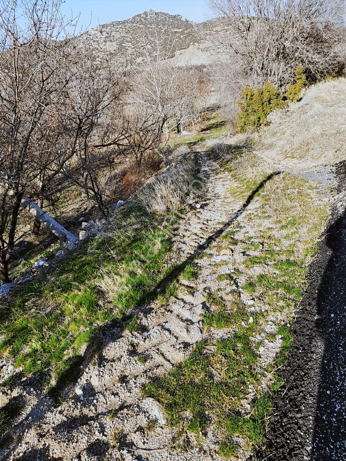 Burdur Merkez Kocapınar Köyü 1743 M2