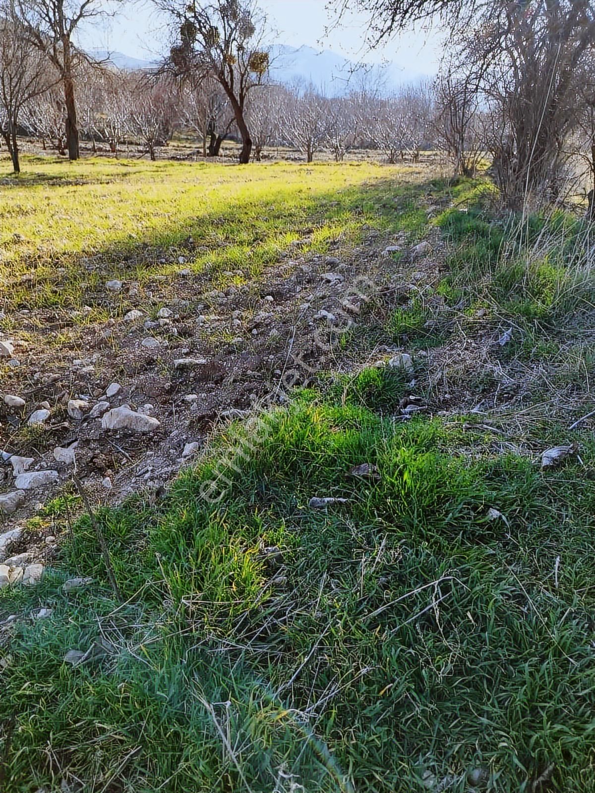 Burdur Merkez Kocapınar Köyü 1743 M2 - Görsel 5
