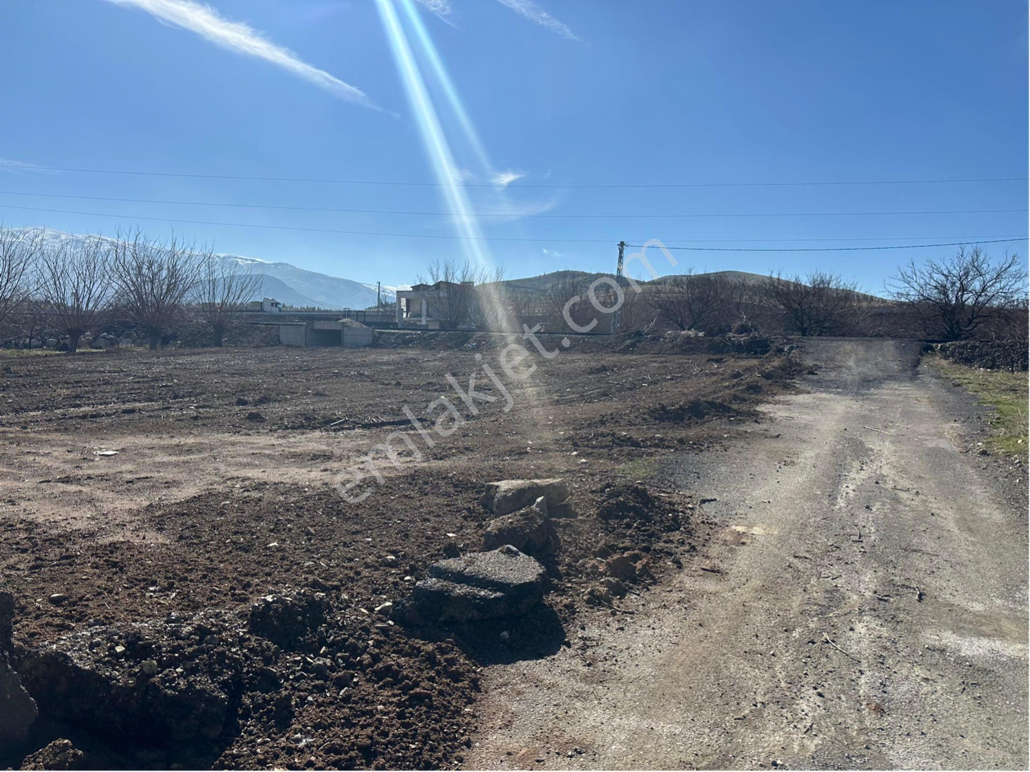 Furkan Doğan’dan Malatya Elazığ Yolu Yanın’da 15 Dönüm Acil Satılık Sulu Tarla - Görsel 10