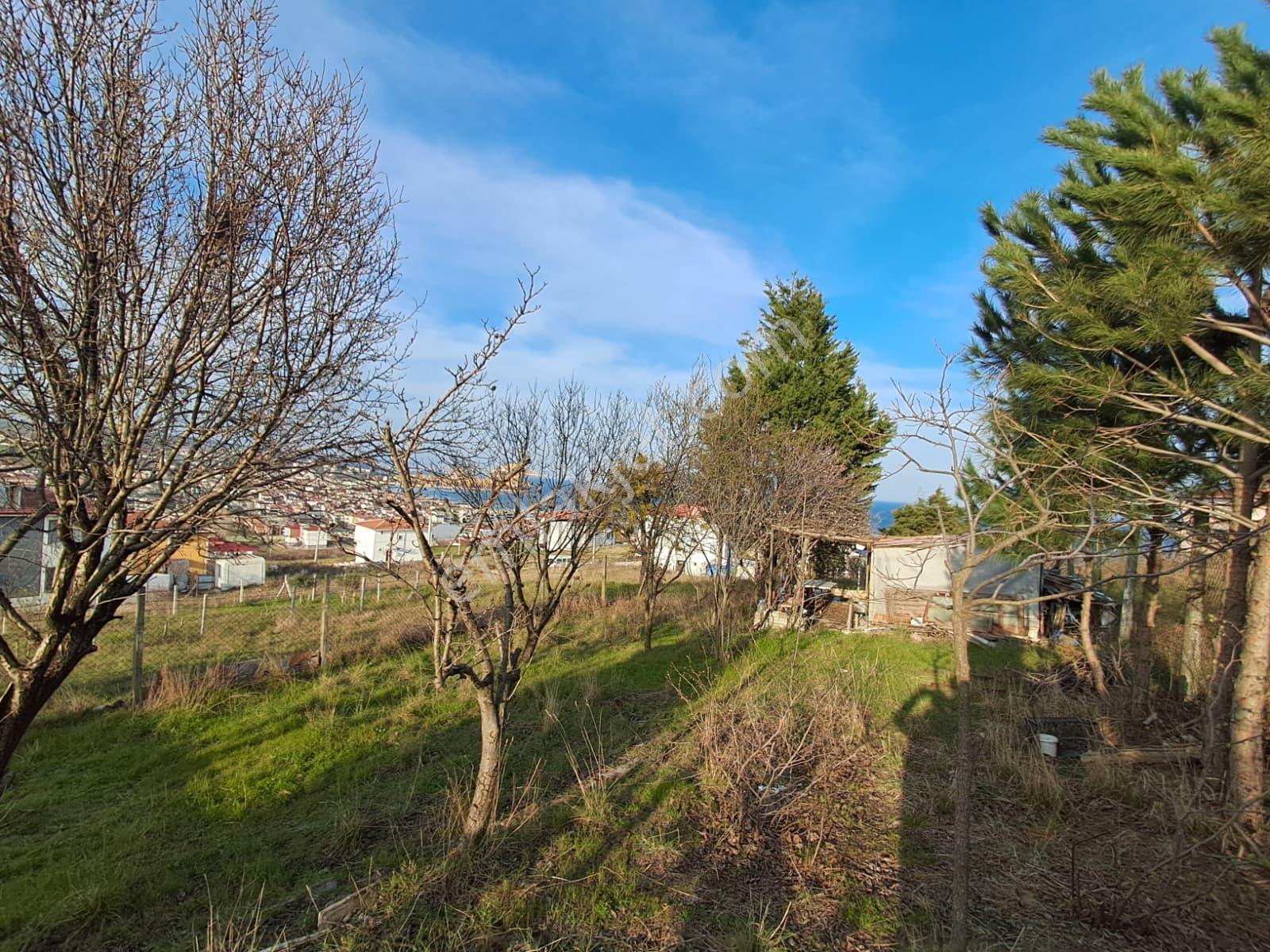 Gülsultan Emlak ' Tan Tekirdağ S.paşa Kumbağ Mah. 240 M2 3 Kat Konut İmarlı Arsa - Görsel 3