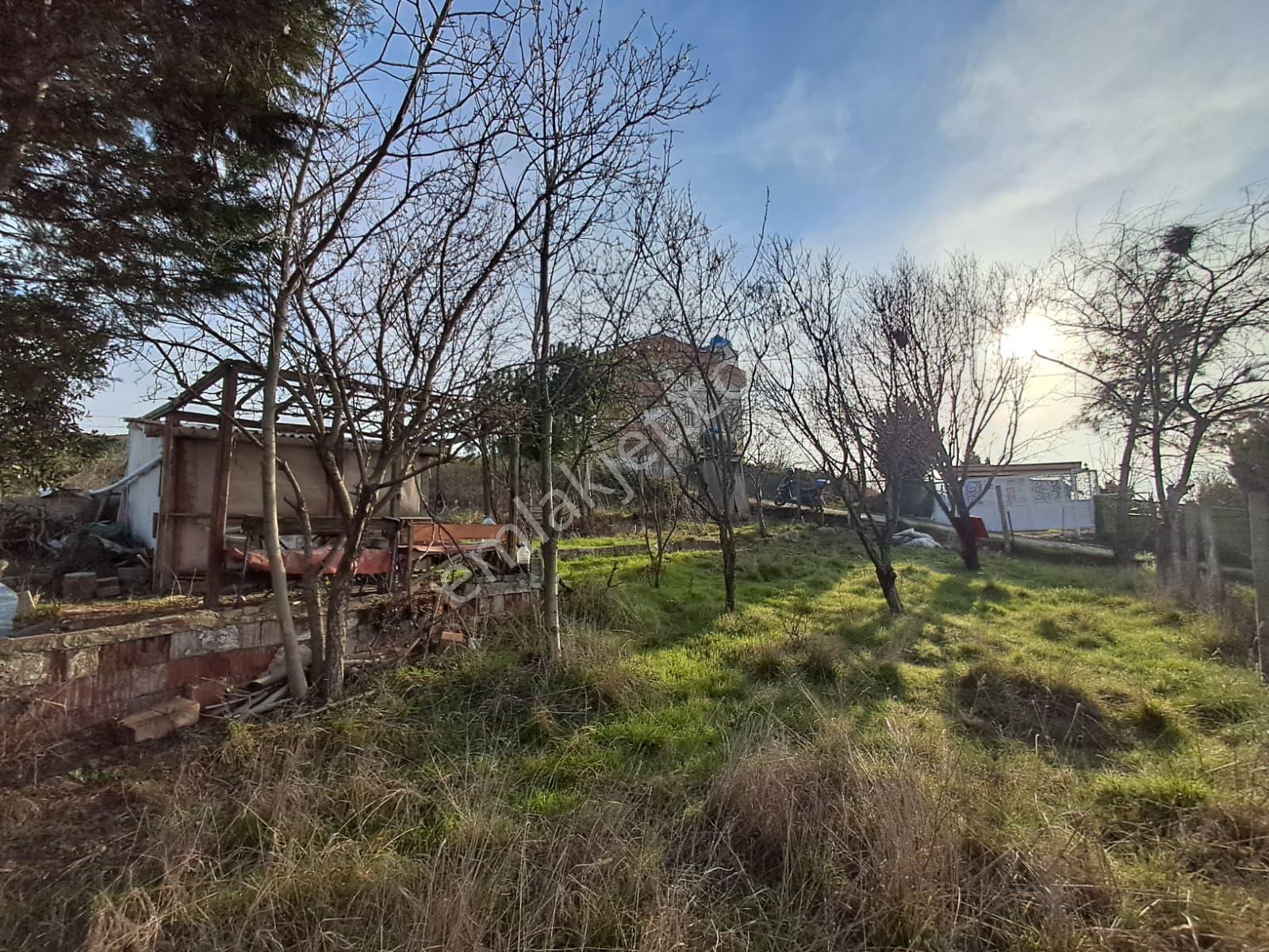 Gülsultan Emlak ' Tan Tekirdağ S.paşa Kumbağ Mah. 240 M2 3 Kat Konut İmarlı Arsa - Görsel 4