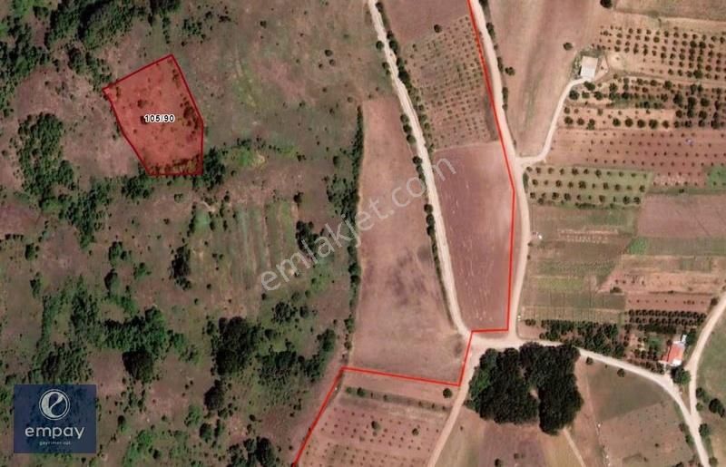 Empay' Dan Yenişehir Süleymaniye' De Yola Yakın Satılık Tarla - Görsel 3