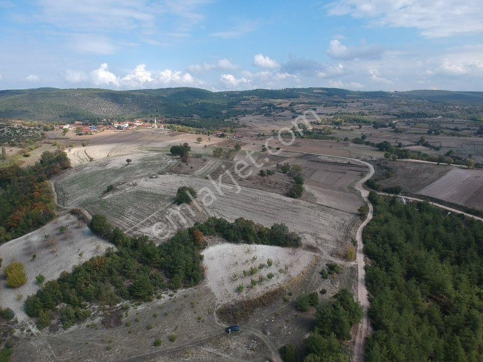 Bilecik Gölpazarı Büyüksusuz 2428 M2 Köy Ve Meyve Bahçeleri Yanı - Görsel 13