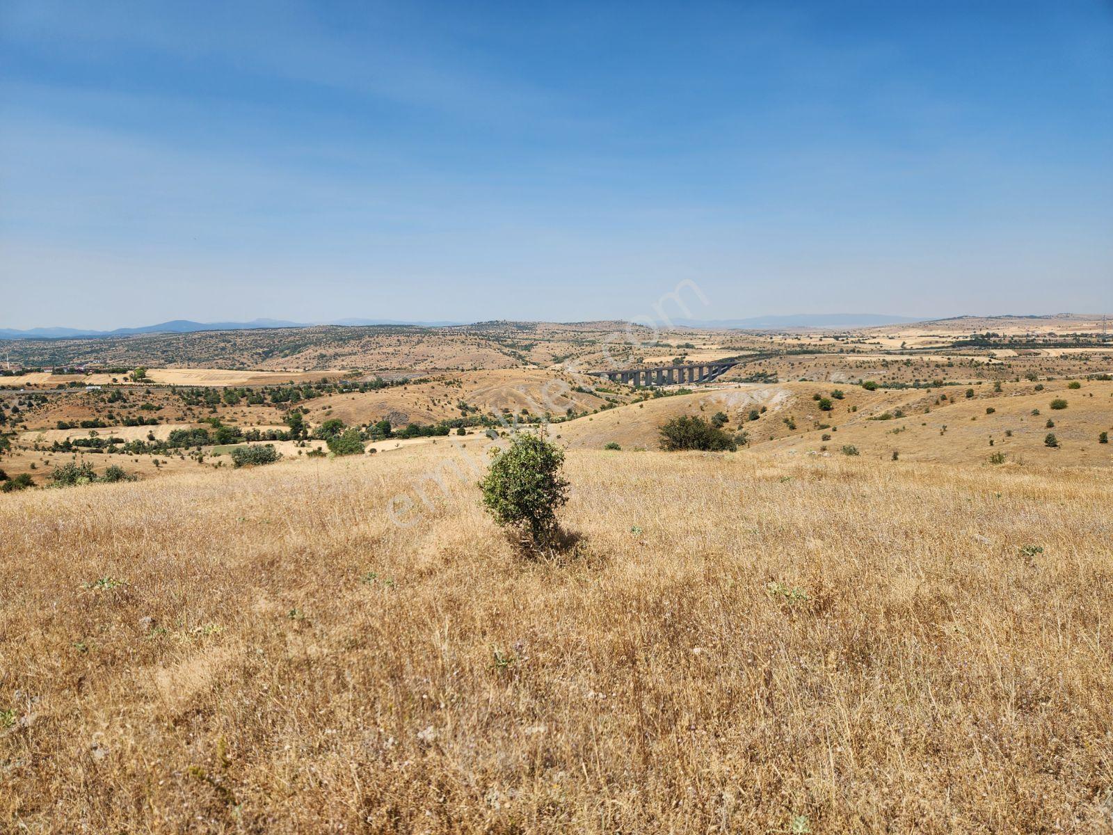 Bolu Gerede Ankara Otoyoluna 1 Km Mesafe 1510 M2 Tarla 260 Bintl - Görsel 4