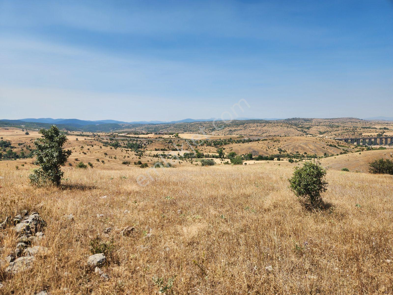 Bolu Gerede Ankara Otoyoluna 1 Km Mesafe 1510 M2 Tarla 260 Bintl - Görsel 7
