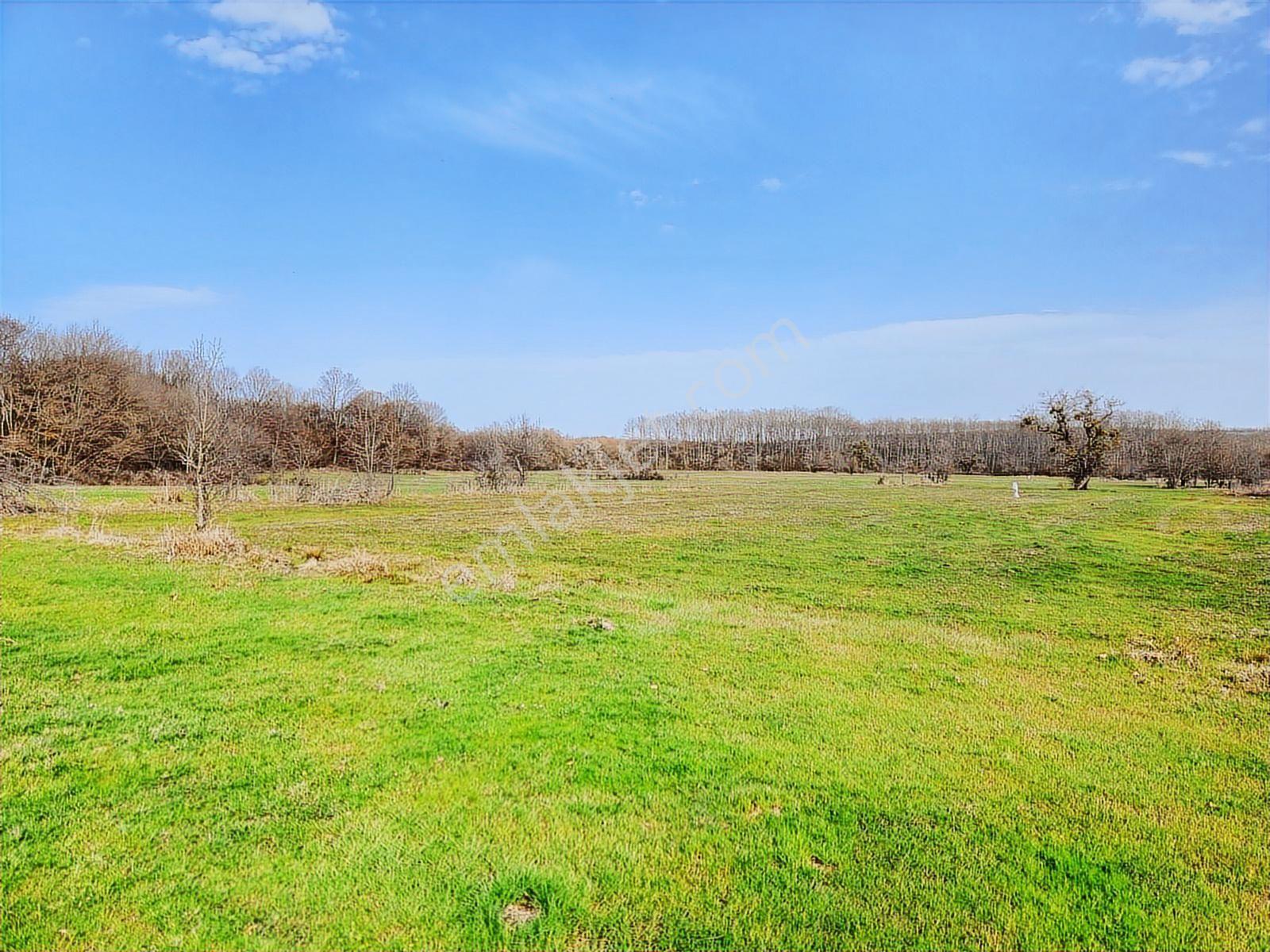 Tekirdağ Saray Büyükyoncalı 1709 M2 Tarla İstanbul Sınırında - Görsel 8