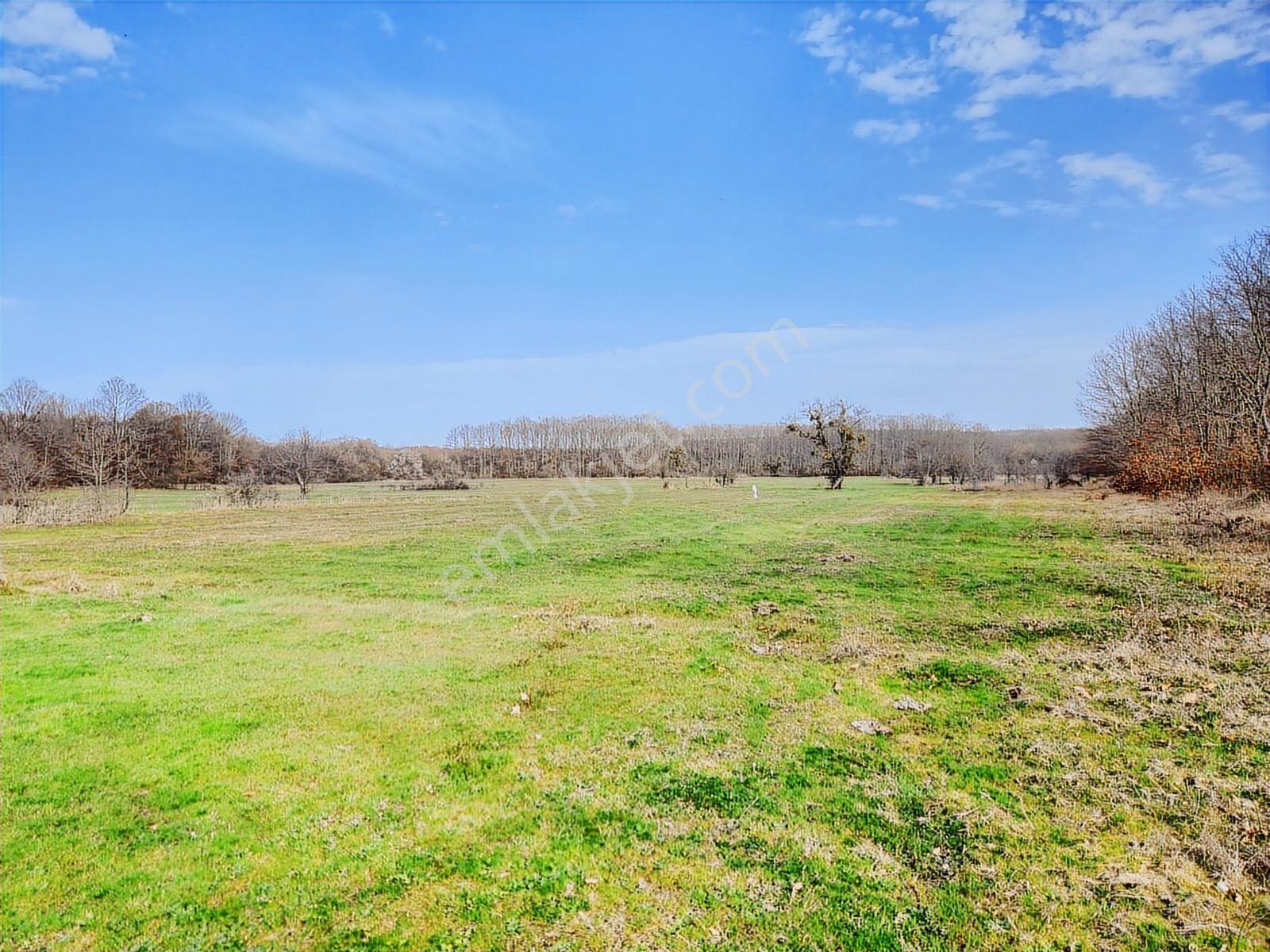 Tekirdağ Saray Büyükyoncalı 1709 M2 Tarla İstanbul Sınırında - Görsel 7