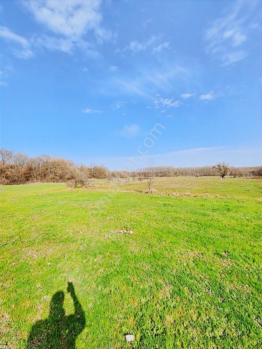 Tekirdağ Saray Büyükyoncalı 1709 M2 Tarla İstanbul Sınırında - Görsel 19