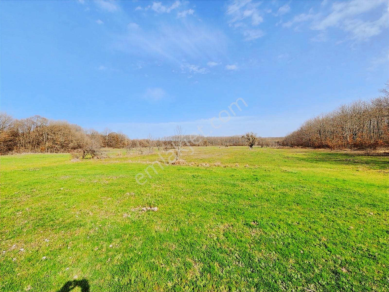 Tekirdağ Saray Büyükyoncalı 1709 M2 Tarla İstanbul Sınırında - Görsel 15