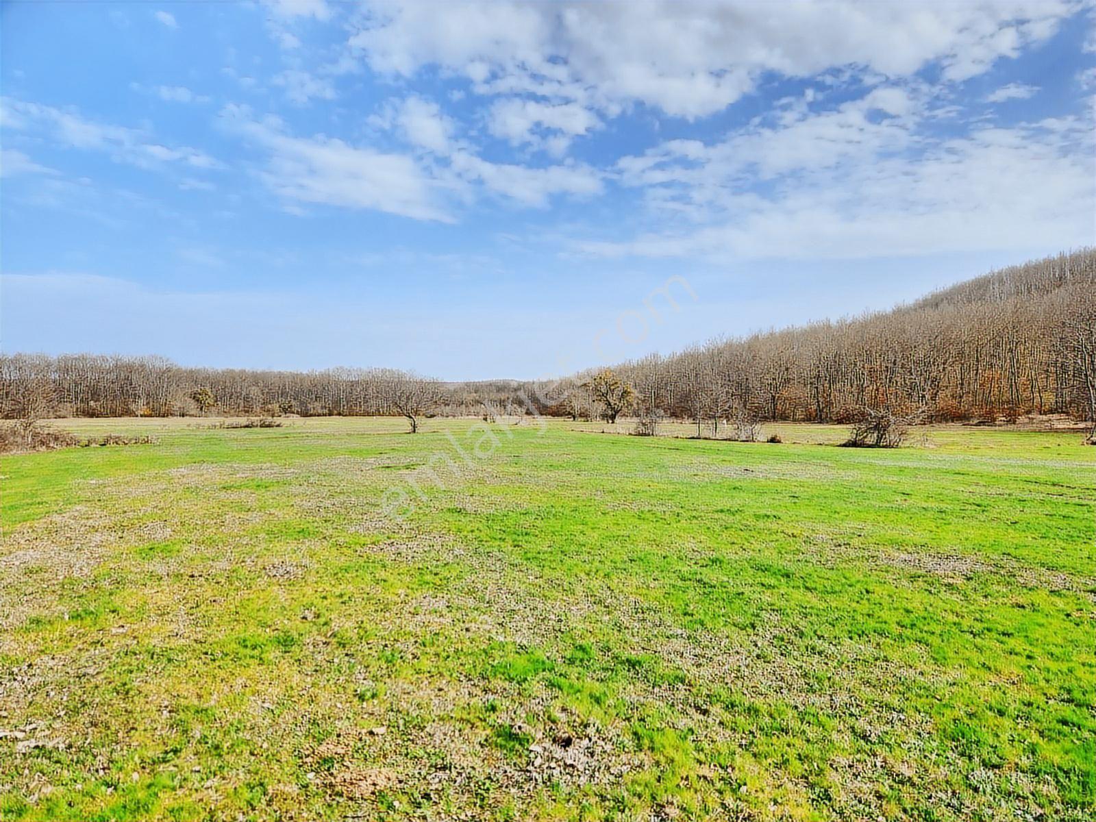Tekirdağ Saray Büyükyoncalı 1709 M2 Tarla İstanbul Sınırında - Görsel 10