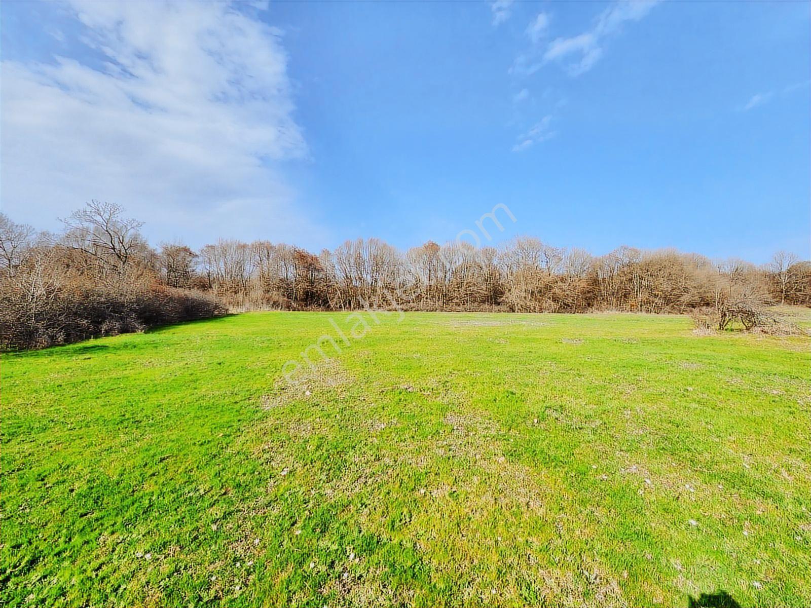Tekirdağ Saray Büyükyoncalı 1709 M2 Tarla İstanbul Sınırında - Görsel 29