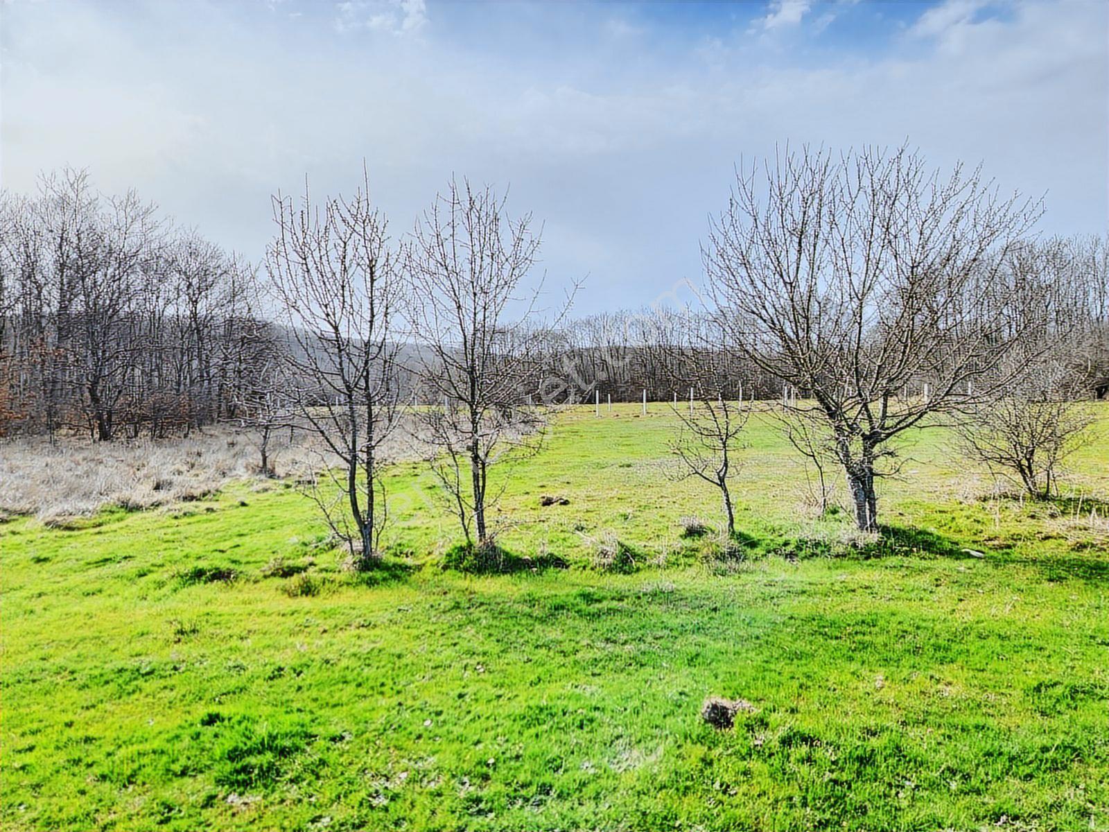 Tekirdağ Saray Büyükyoncalı 1709 M2 Tarla İstanbul Sınırında - Görsel 13