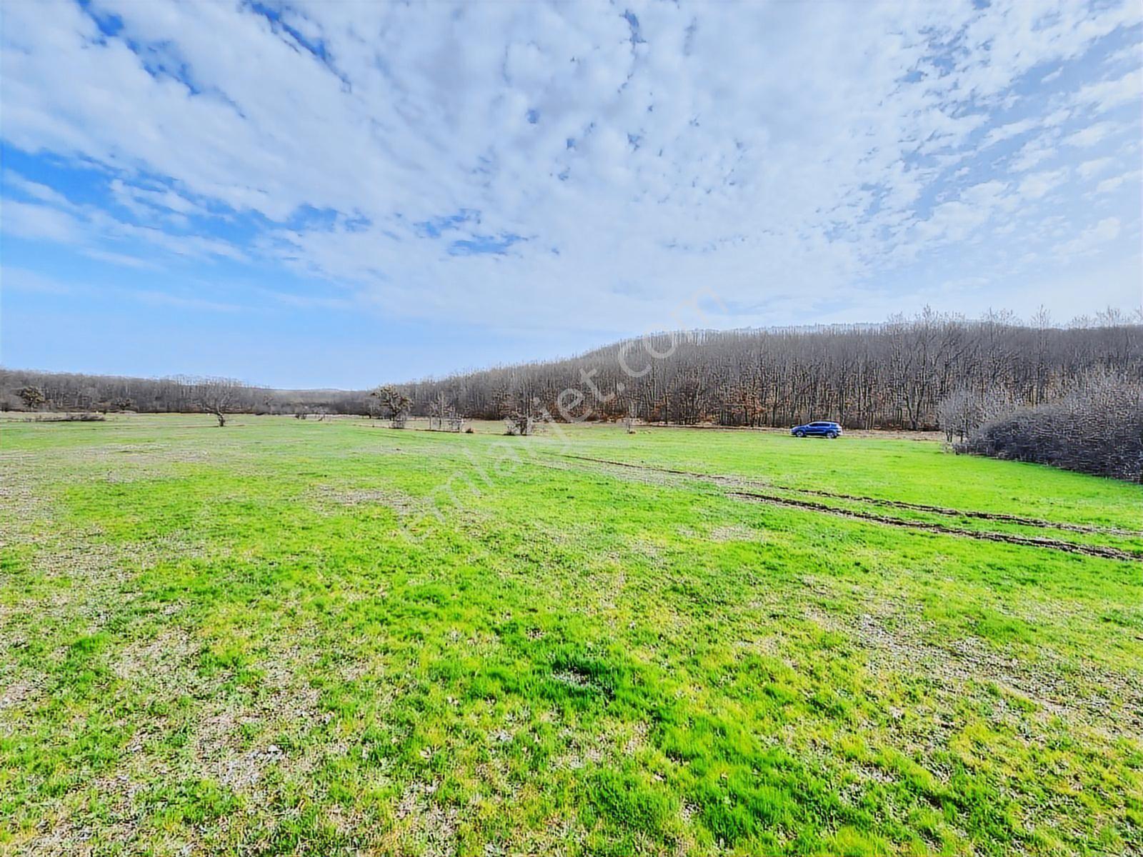 Tekirdağ Saray Büyükyoncalı 1709 M2 Tarla İstanbul Sınırında