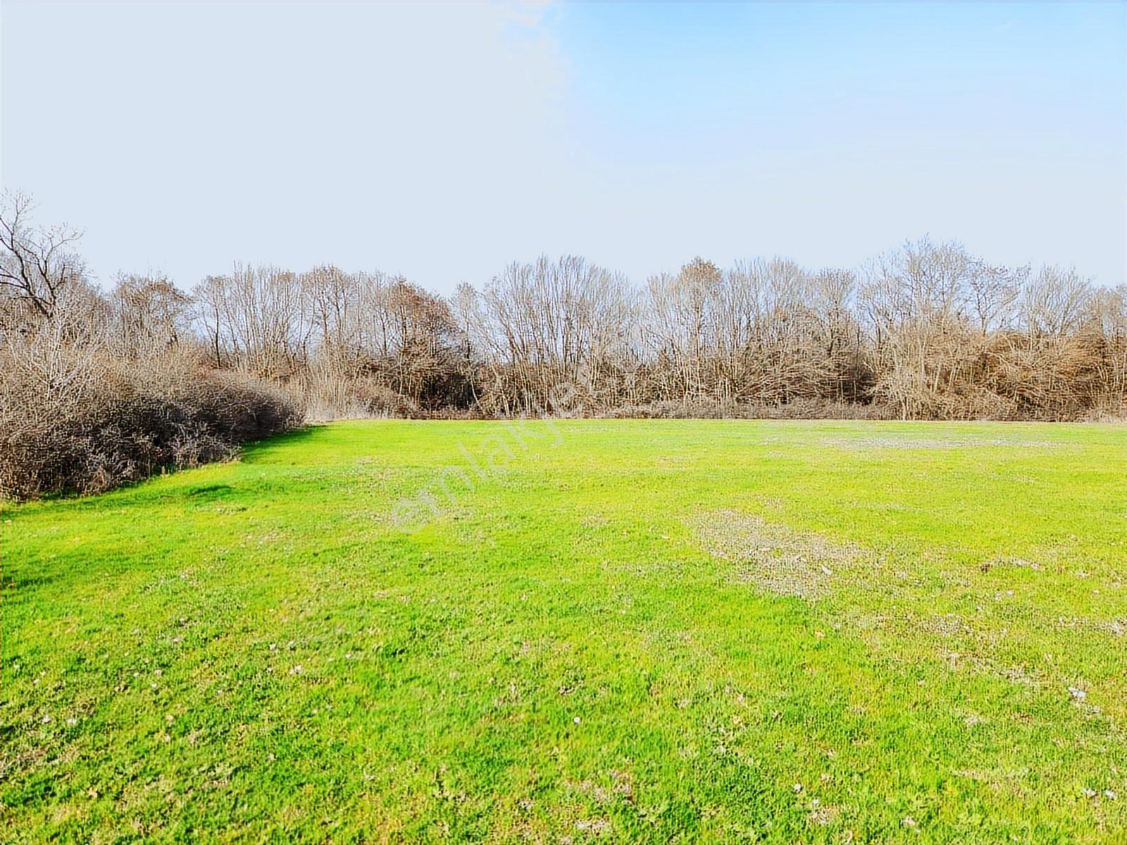 Tekirdağ Saray Büyükyoncalı 1709 M2 Tarla İstanbul Sınırında - Görsel 14