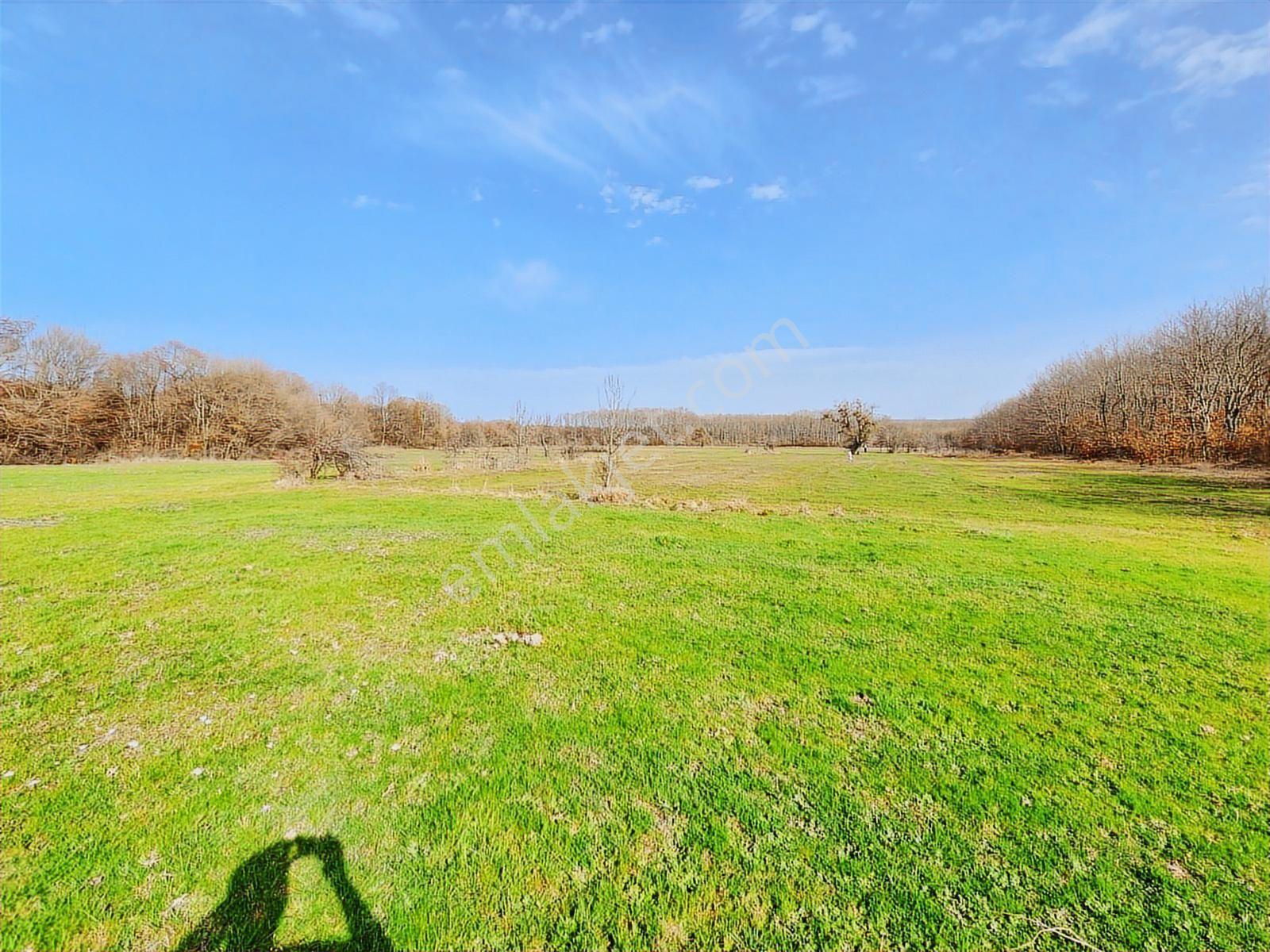 Tekirdağ Saray Büyükyoncalı 1709 M2 Tarla İstanbul Sınırında - Görsel 11