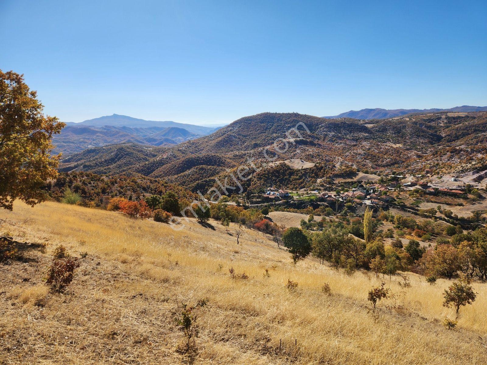 Manisa Demirci Yavaşlar Mah Köymanzaralı 8.257 M2 Tarla Köy Yanı - Görsel 24