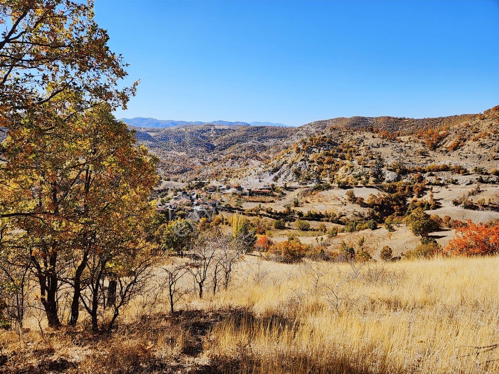 Manisa Demirci Yavaşlar Mah Köymanzaralı 8.257 M2 Tarla Köy Yanı - Görsel 16