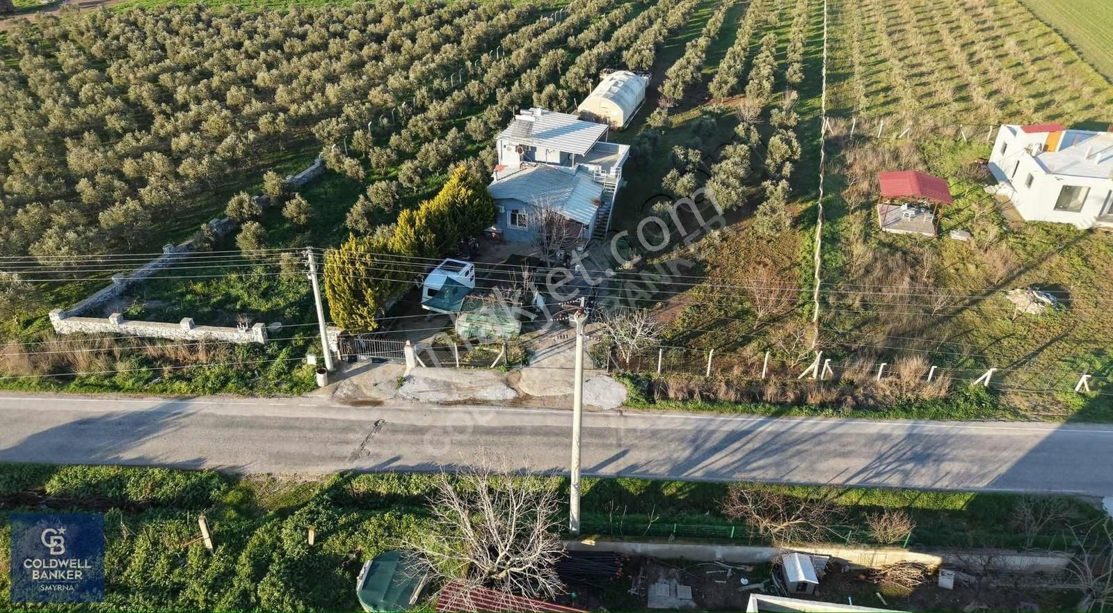 4250 M² İçinde Ev Olan, Zeytin Ve Meyve Ağaçlı Tarla