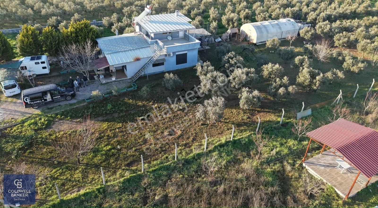 4250 M² İçinde Ev Olan, Zeytin Ve Meyve Ağaçlı Tarla - Görsel 8