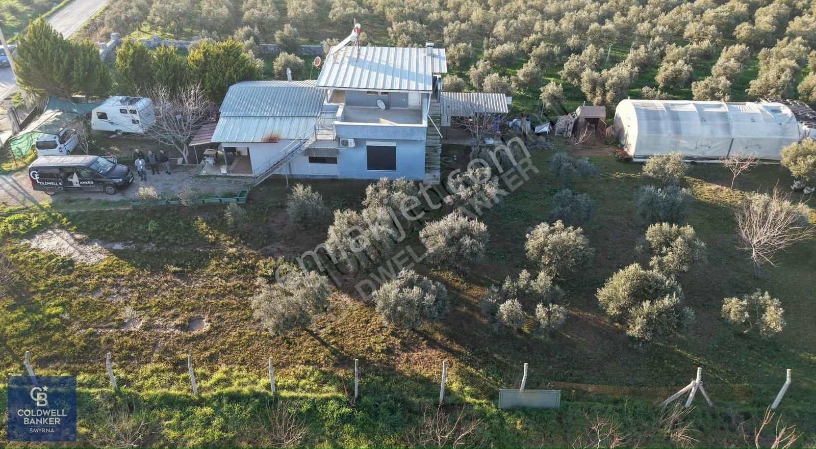 4250 M² İçinde Ev Olan, Zeytin Ve Meyve Ağaçlı Tarla - Görsel 10