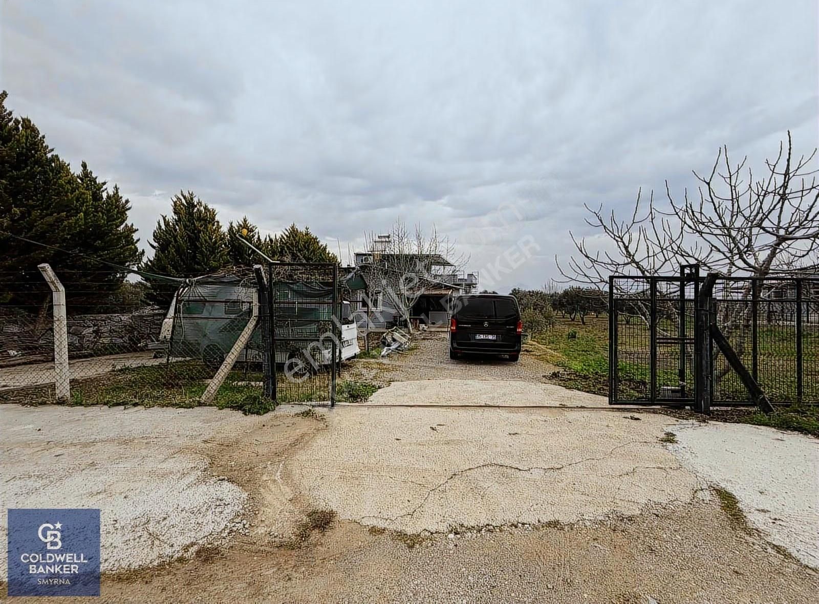 4250 M² İçinde Ev Olan, Zeytin Ve Meyve Ağaçlı Tarla - Görsel 24