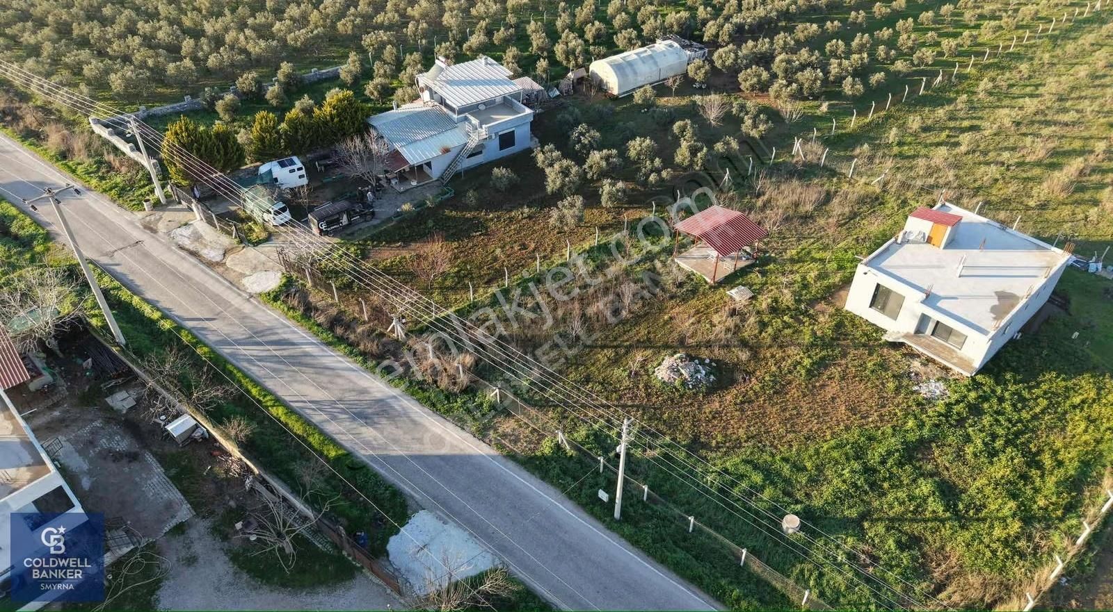 4250 M² İçinde Ev Olan, Zeytin Ve Meyve Ağaçlı Tarla - Görsel 18