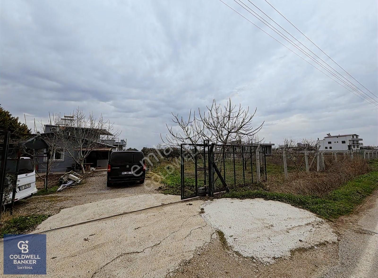 4250 M² İçinde Ev Olan, Zeytin Ve Meyve Ağaçlı Tarla - Görsel 16