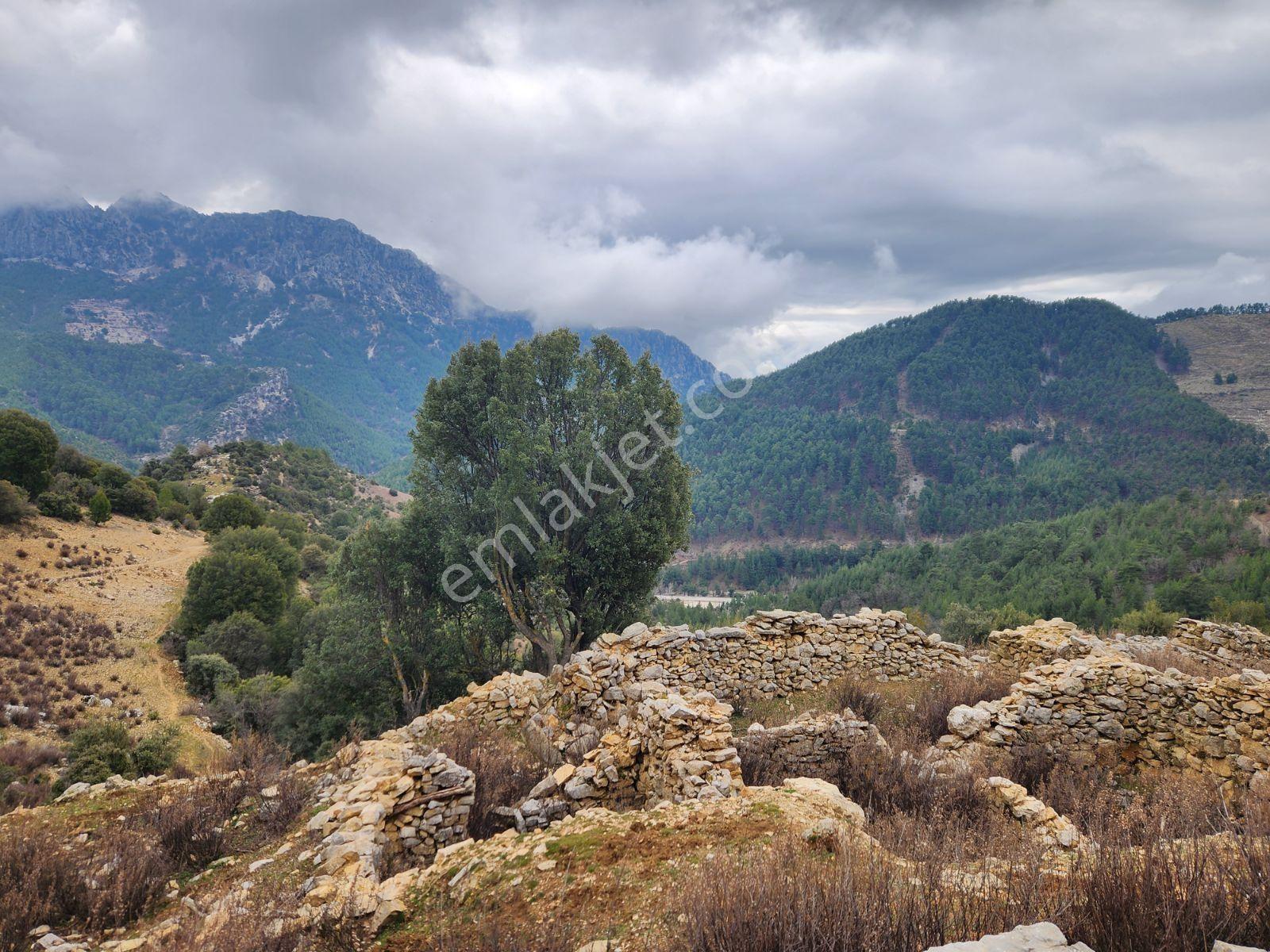 Isparta Merkez Büyük Kışla Köyü Antalya Yoluna 700 Metre 4 Dönüm - Görsel 6