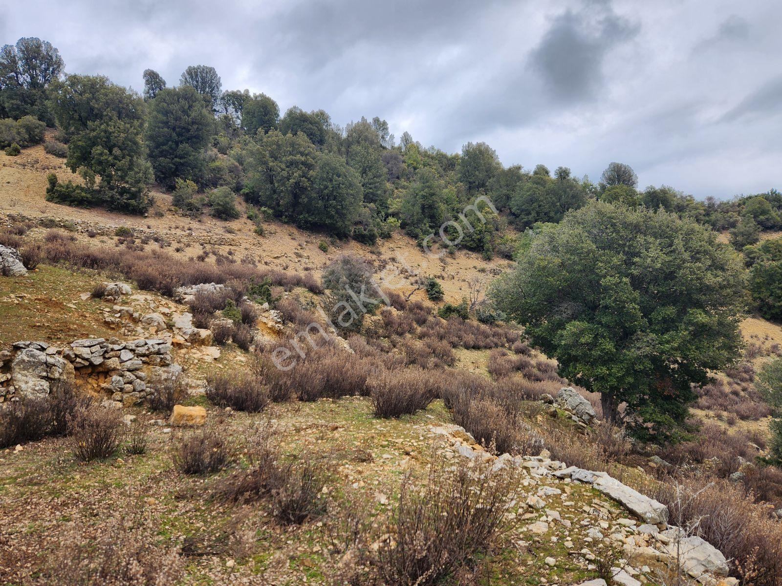 Isparta Merkez Büyük Kışla Köyü Antalya Yoluna 700 Metre 4 Dönüm - Görsel 18