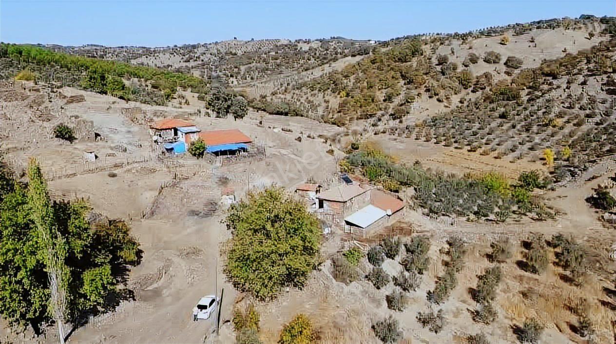 Manisa Demirci Köy İçi 1000 M2 Arsa Elektrik Yol Su Var Ev Yap