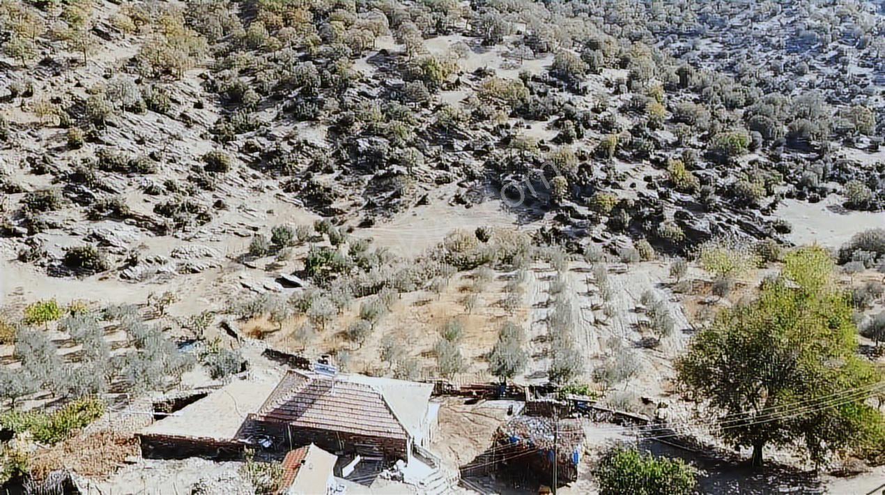 Manisa Demirci Köy İçi 1000 M2 Arsa Elektrik Yol Su Var Ev Yap - Görsel 6