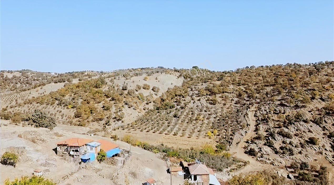 Manisa Demirci Köy İçi 1000 M2 Arsa Elektrik Yol Su Var Ev Yap - Görsel 11