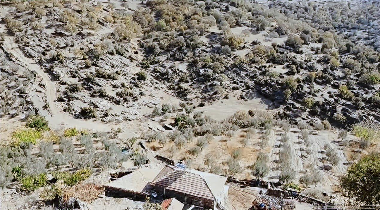 Manisa Demirci Köy İçi 1000 M2 Arsa Elektrik Yol Su Var Ev Yap - Görsel 18
