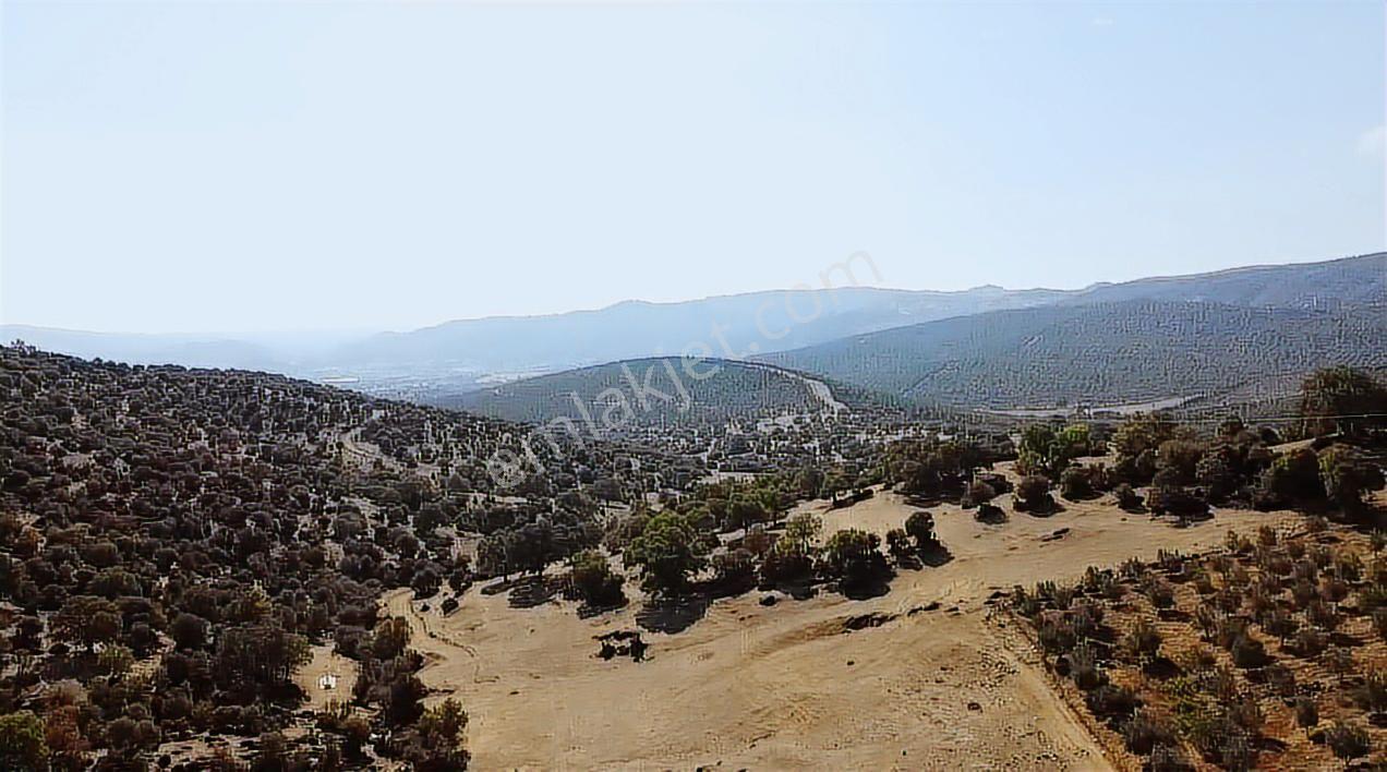 Manisa Demirci Köy İçi 1000 M2 Arsa Elektrik Yol Su Var Ev Yap - Görsel 15