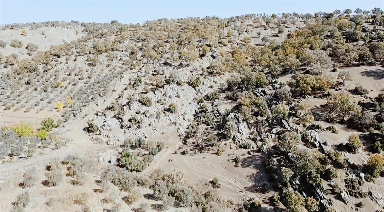 Manisa Demirci Köy İçi 1000 M2 Arsa Elektrik Yol Su Var Ev Yap - Görsel 8