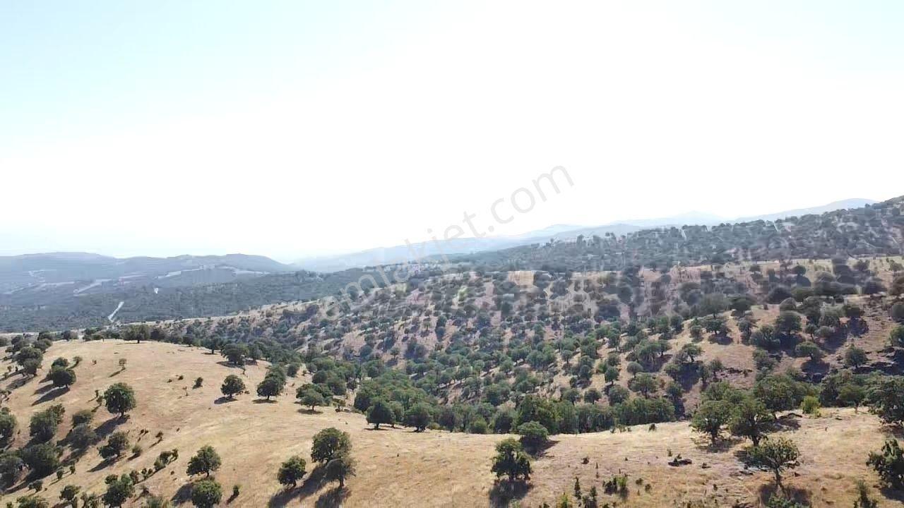 Uşak Eşme Davutlar Mah. 44.400 M2 Tarla Elektrik Suyu Yolu Var - Görsel 7