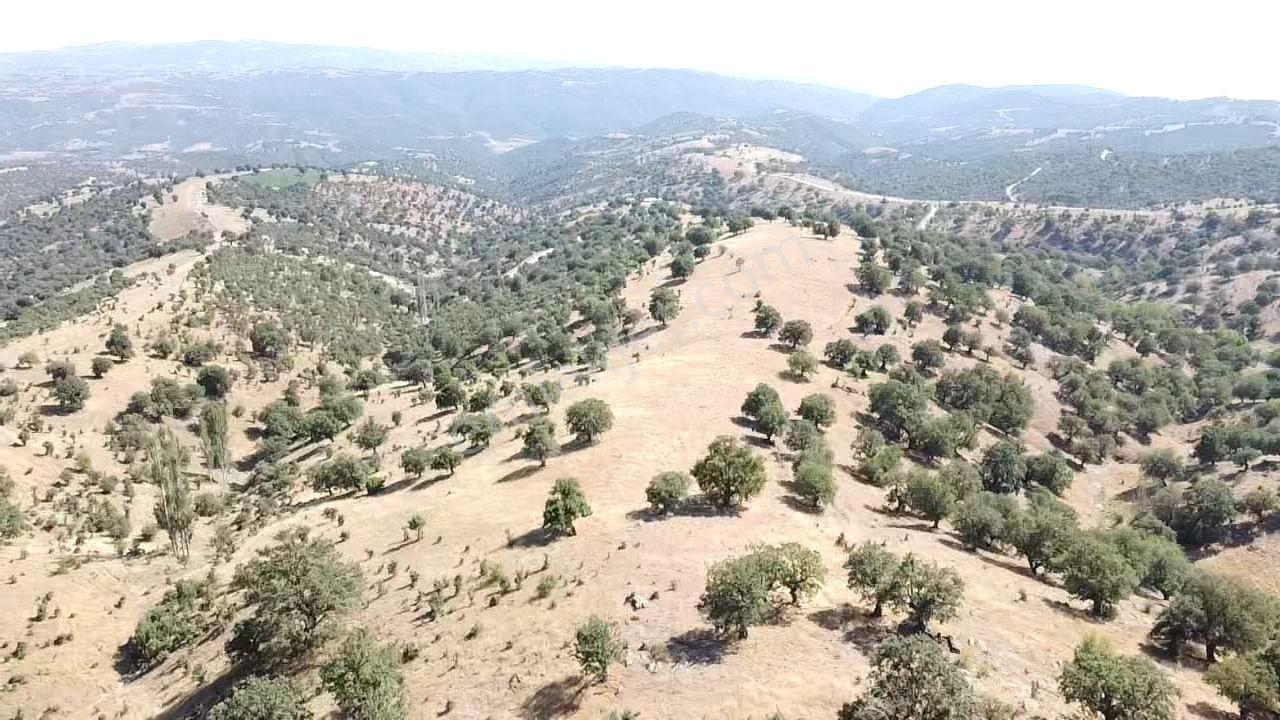 Uşak Eşme Davutlar Mah. 44.400 M2 Tarla Elektrik Suyu Yolu Var - Görsel 11