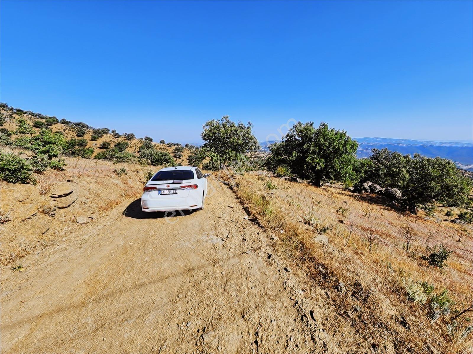 Uşak Eşme Davutlar Mah. 44.400 M2 Tarla Elektrik Suyu Yolu Var - Görsel 25