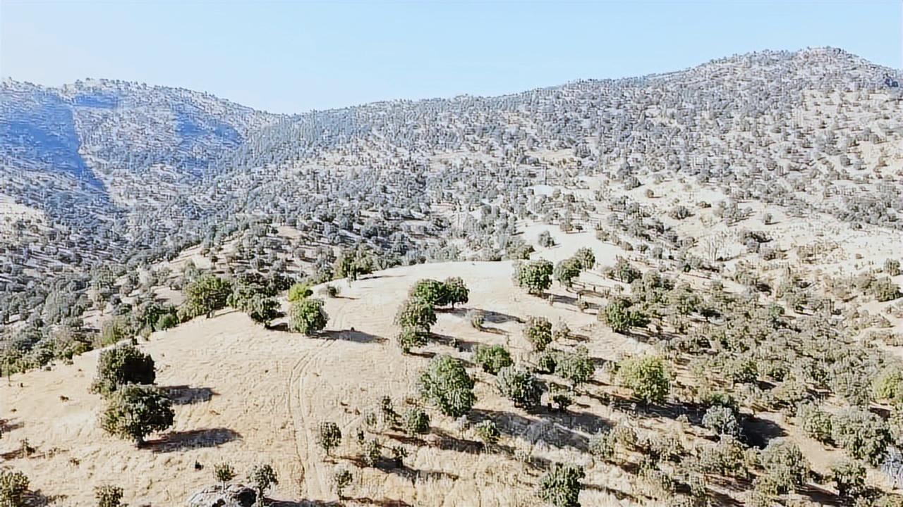 Uşak Eşme Davutlar Mah. 44.400 M2 Tarla Elektrik Suyu Yolu Var - Görsel 21