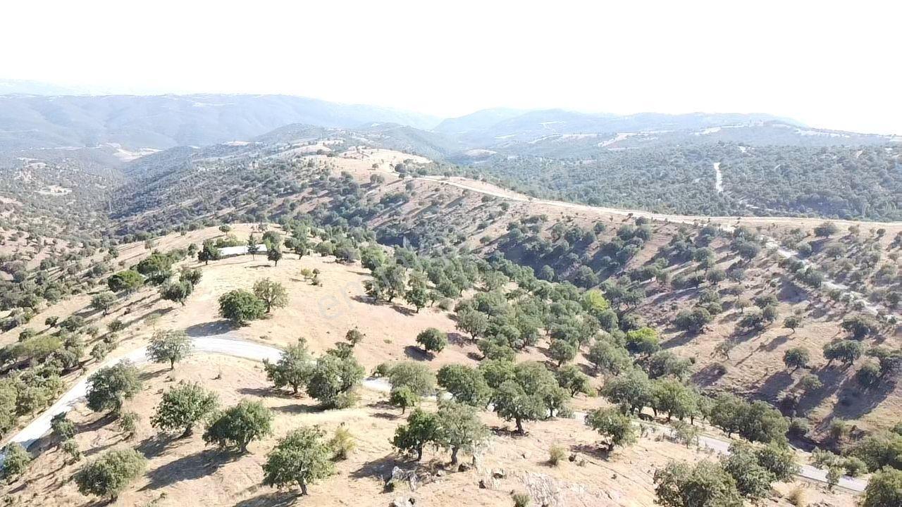 Uşak Eşme Davutlar Mah. 44.400 M2 Tarla Elektrik Suyu Yolu Var - Görsel 17
