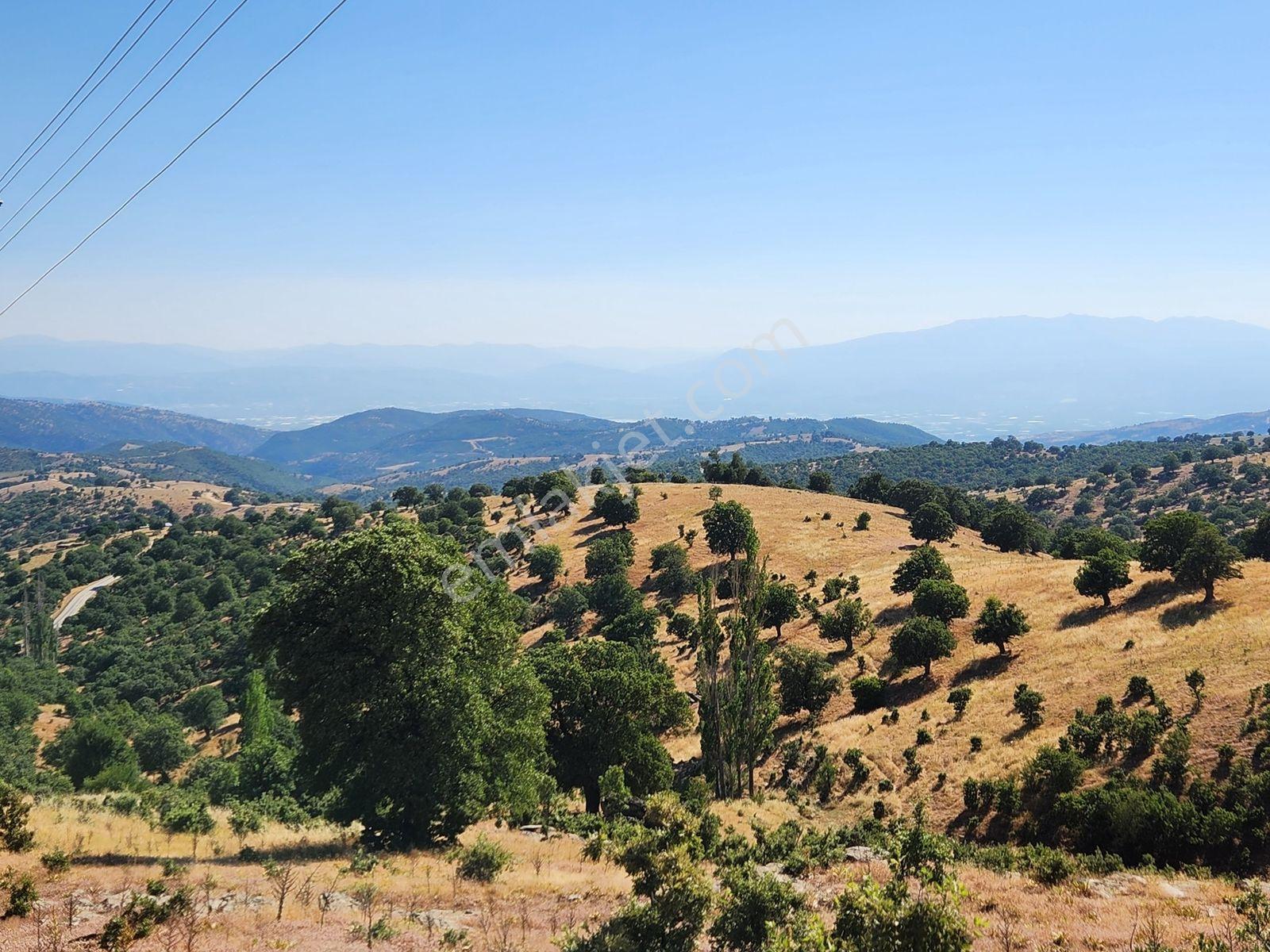Uşak Eşme Davutlar Mah. 44.400 M2 Tarla Elektrik Suyu Yolu Var - Görsel 22