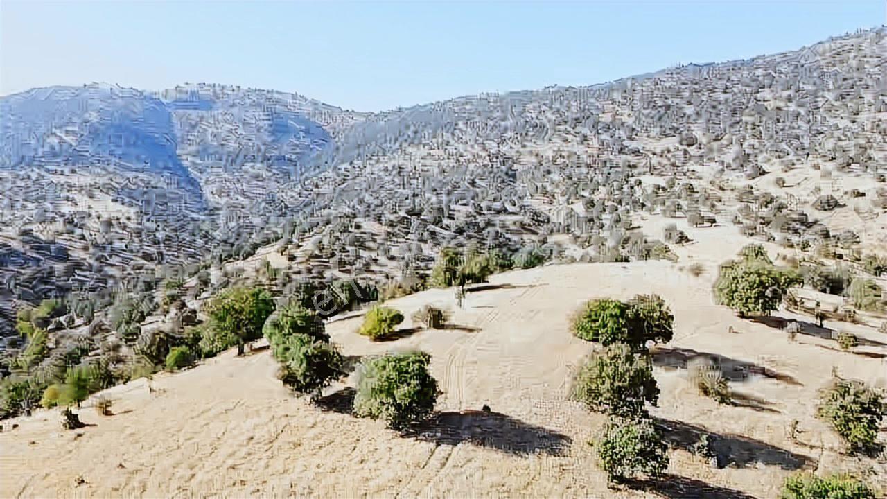 Uşak Eşme Davutlar Mah. 44.400 M2 Tarla Elektrik Suyu Yolu Var - Görsel 16