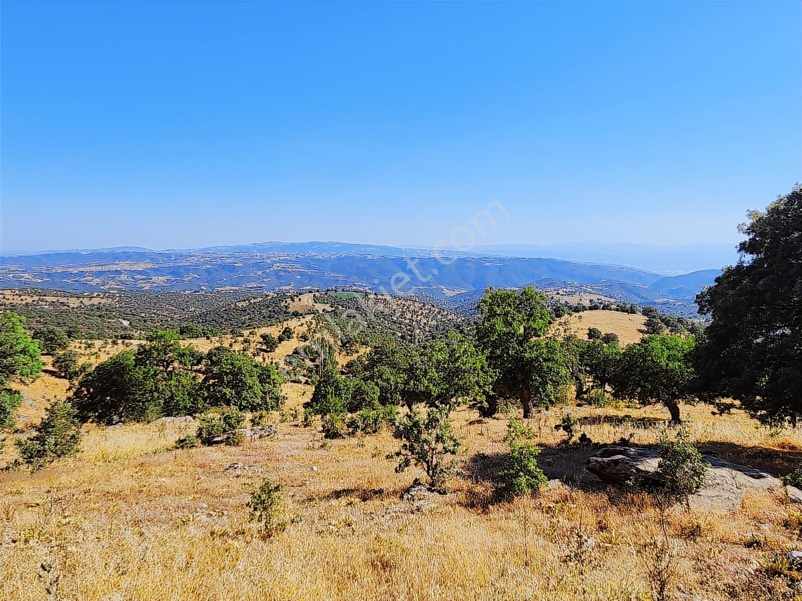 Uşak Eşme Davutlar Mah. 44.400 M2 Tarla Elektrik Suyu Yolu Var - Görsel 8