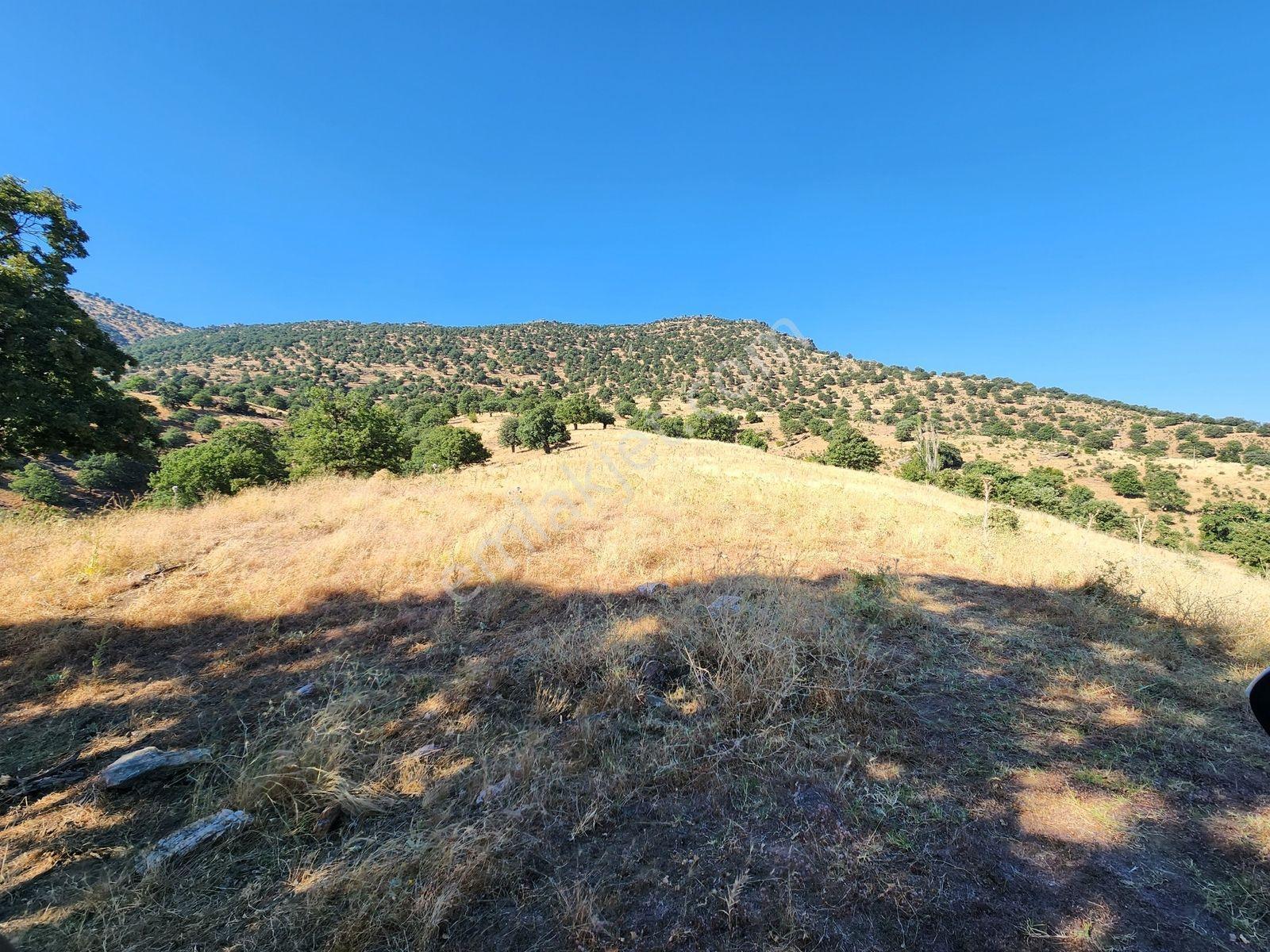 Uşak Eşme Davutlar Mah. 44.400 M2 Tarla Elektrik Suyu Yolu Var - Görsel 13