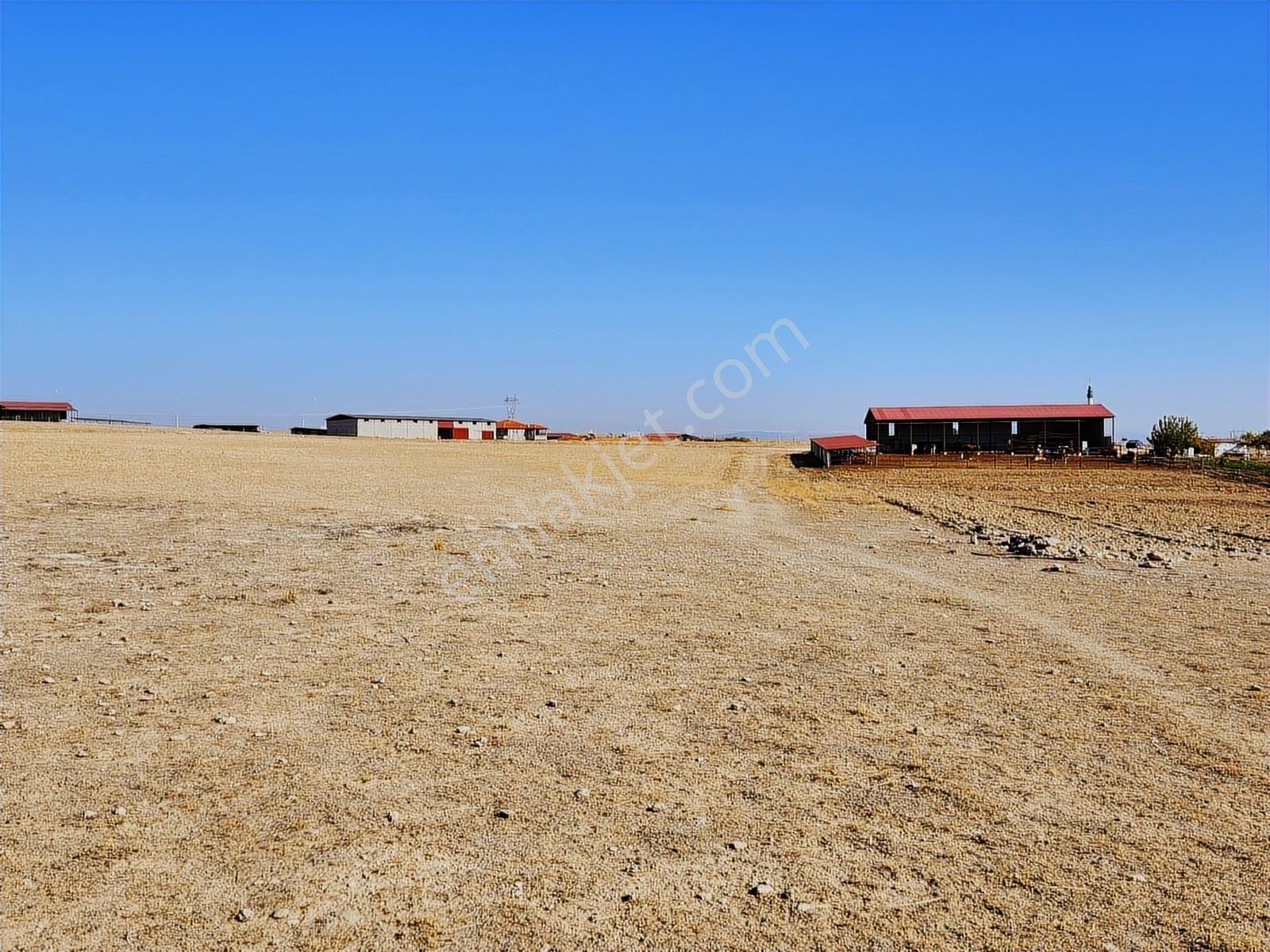 Afyonkarahisar Basmakci Küllüce Mah 302 M2 Konut İmarlı Arsa - Görsel 22
