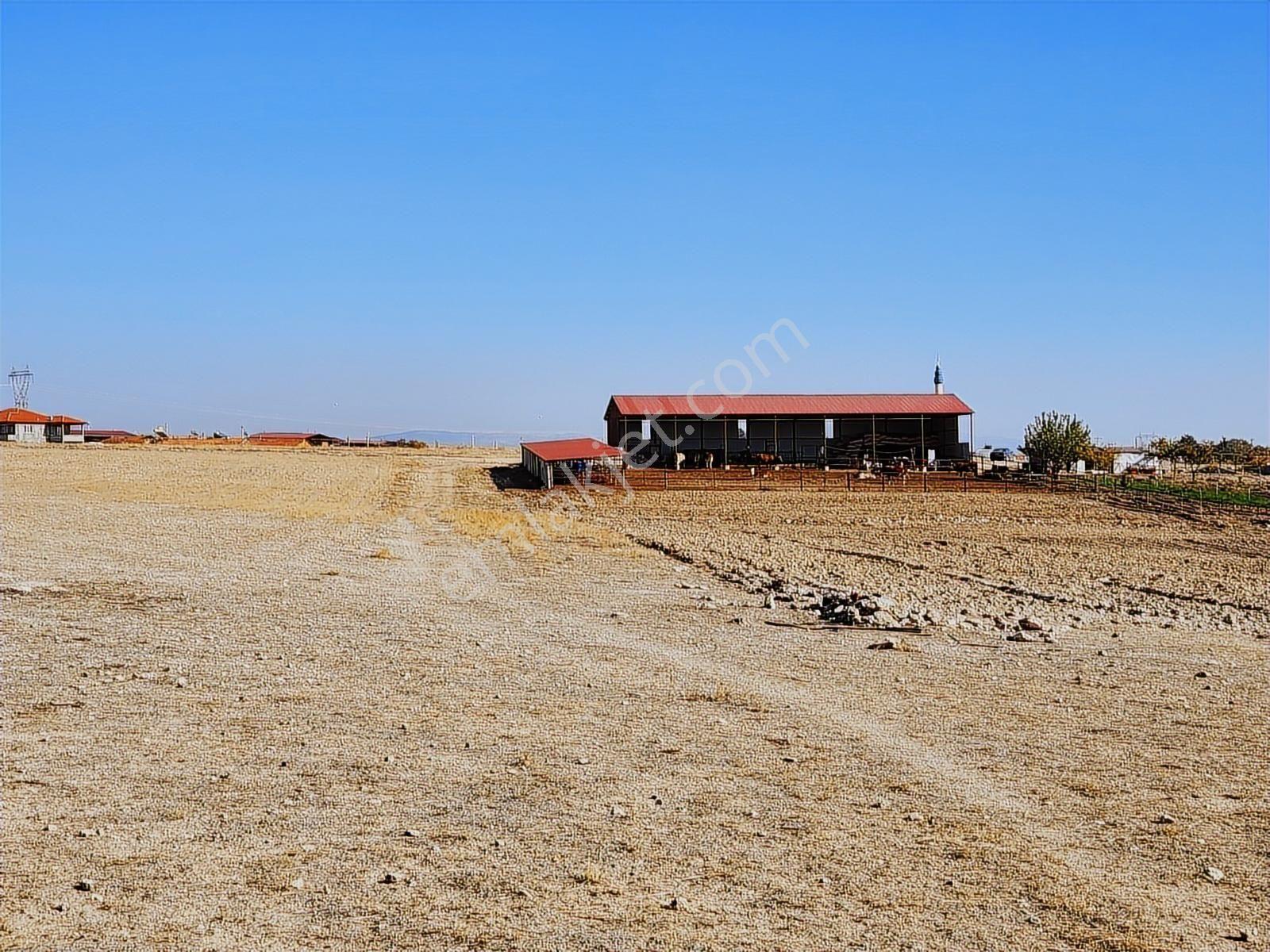 Afyonkarahisar Basmakci Küllüce Mah 302 M2 Konut İmarlı Arsa - Görsel 11